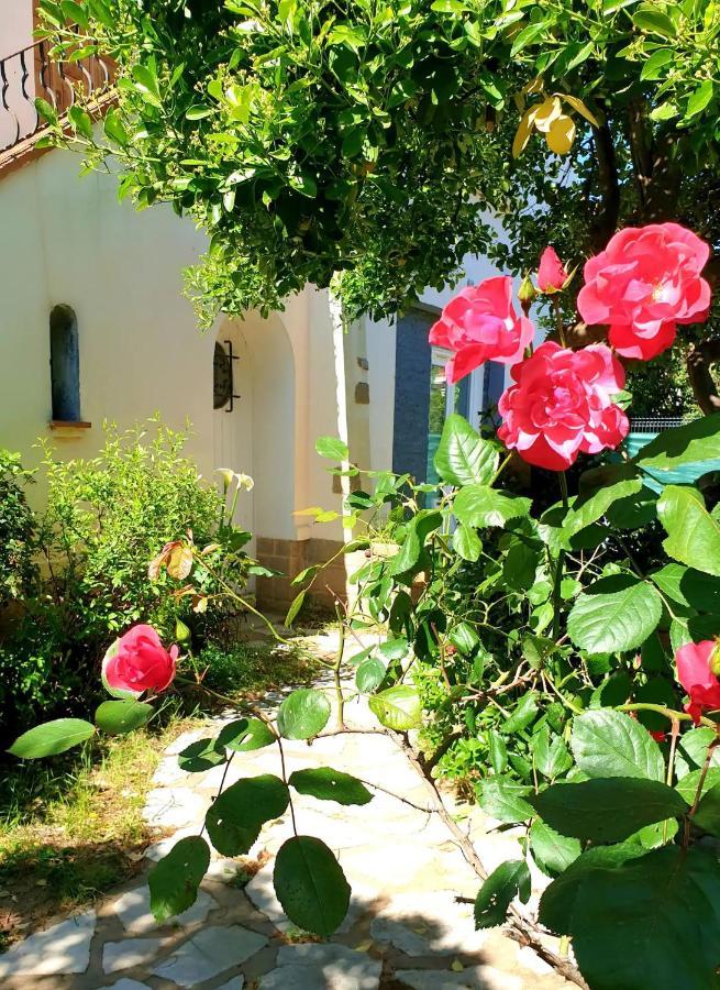 Fréjus Studio Au Calme Tout Confort Proche Des Plages - Jardin Wifi Parking מראה חיצוני תמונה